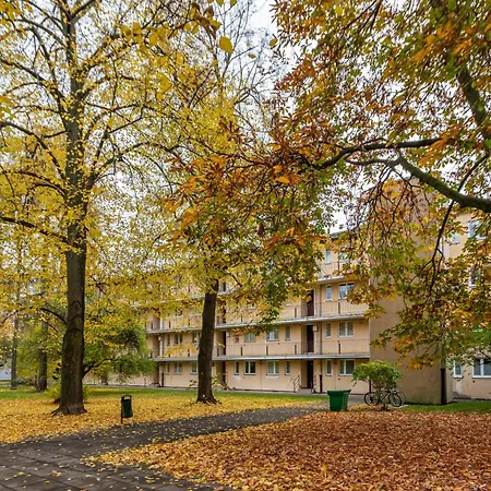 Dabrowskiego By Your Freedom *