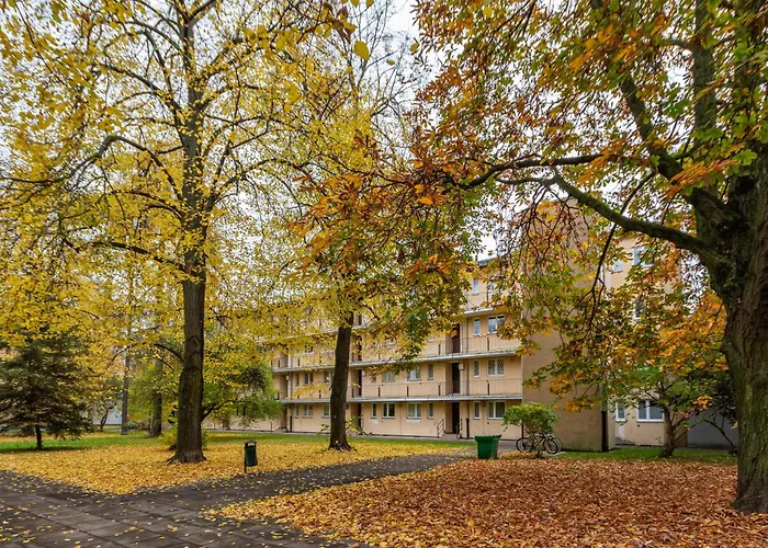 Dabrowskiego By Your Freedom *